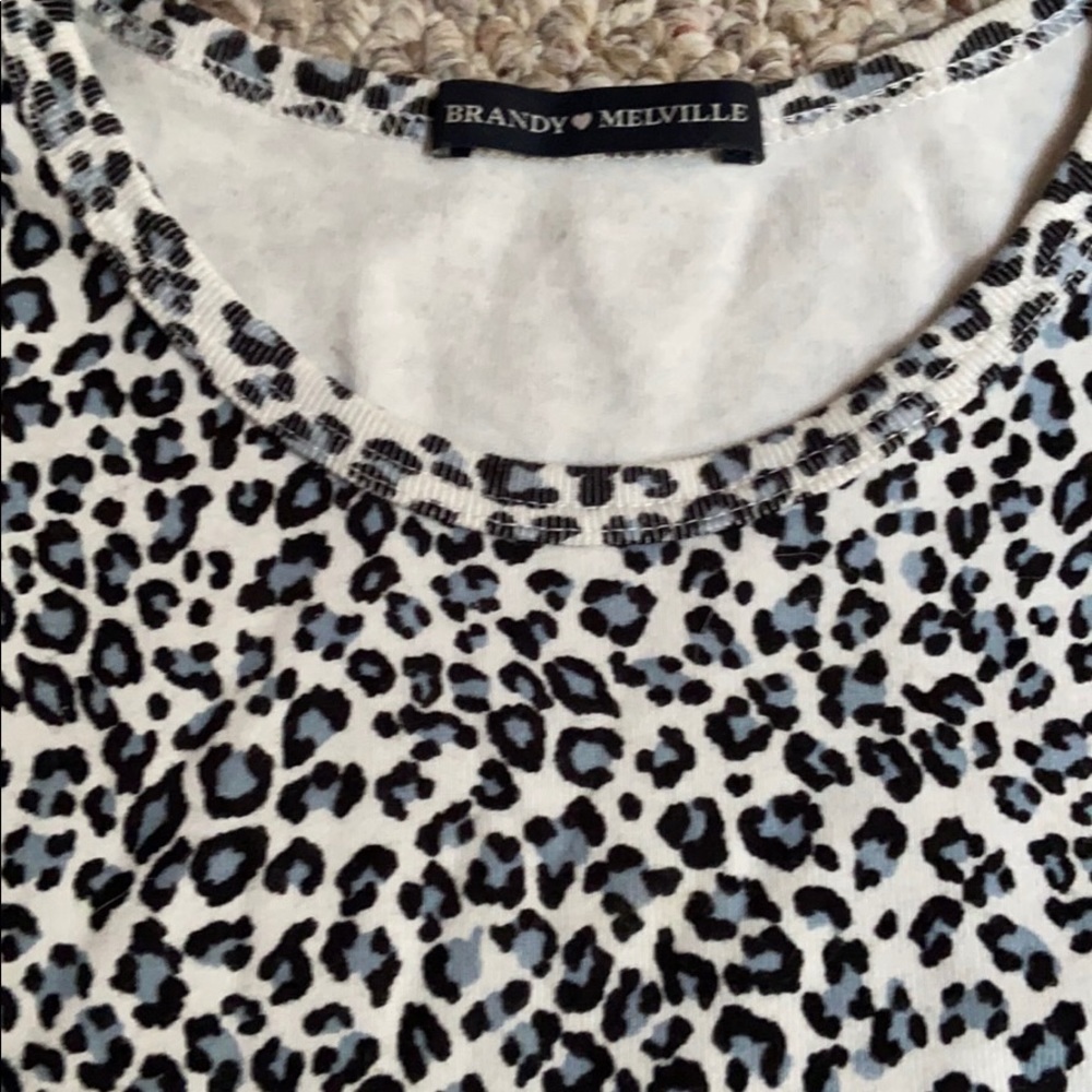 Brandy Melville leopard print zelly crop top - Picture 2 of 4